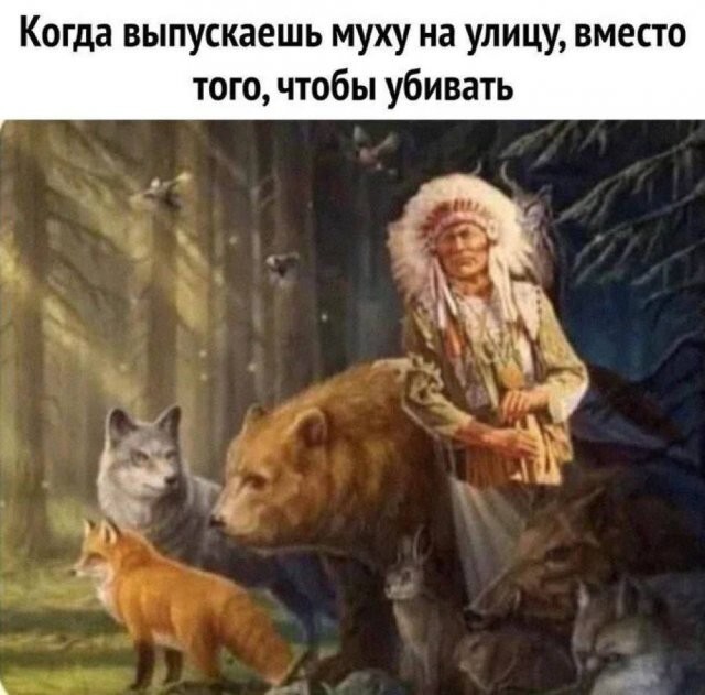 Скрины из соцсетей
