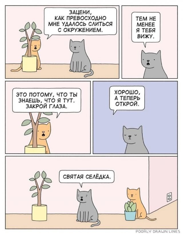 Скрины из соцсетей