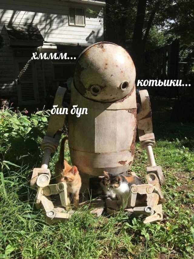 Скрины из соцсетей