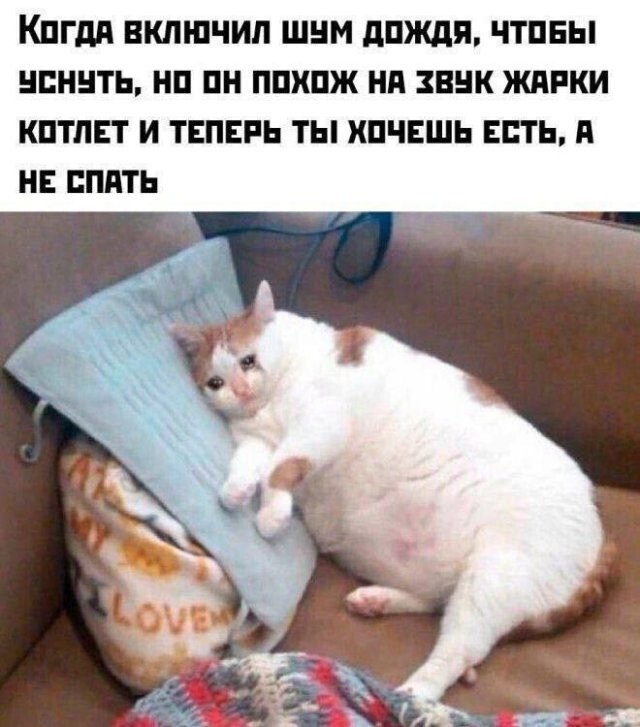 Скрины из соцсетей