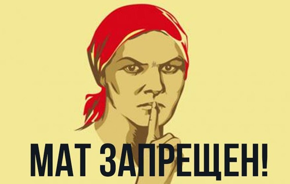 В Госдуме предложили ввести обязательную блокировку интернет-ресурсов за мат