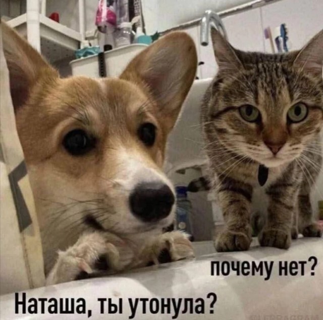 Не ищите здесь смысл. Здесь в основном маразм