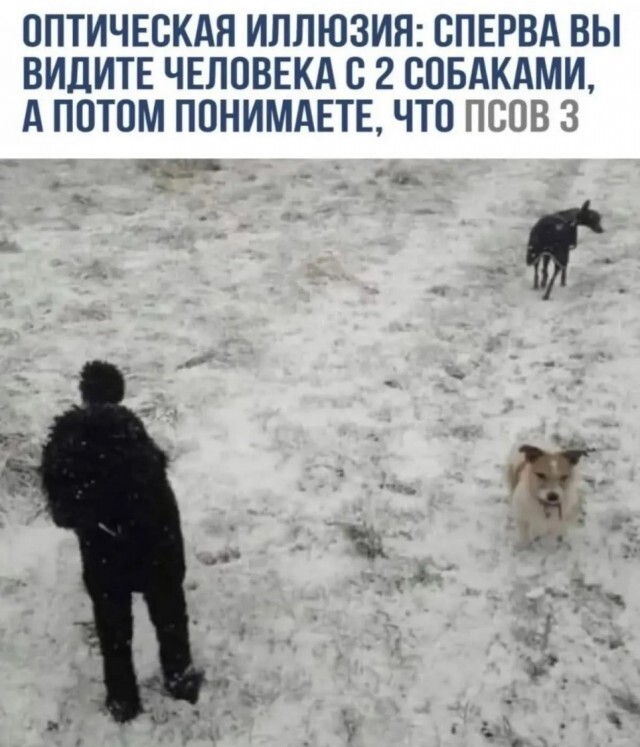 Не ищите здесь смысл. Здесь в основном маразм