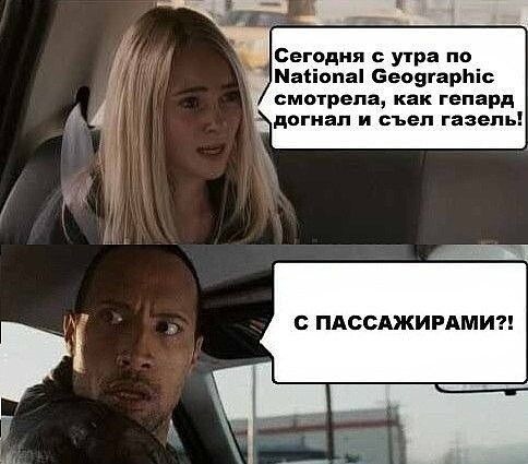 Не ищите здесь смысл. Здесь в основном маразм