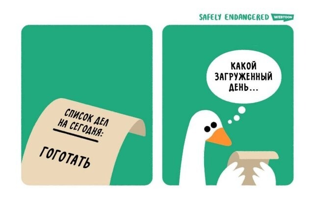 Скрины из соцсетей 