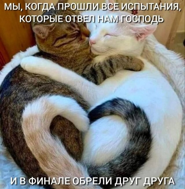 Скрины из соцсетей 