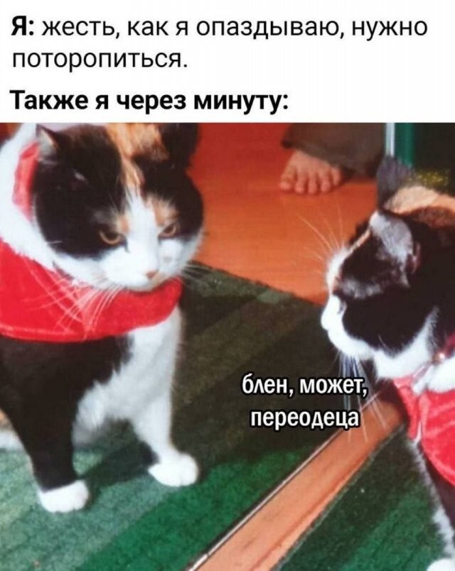 Скрины из соцсетей 