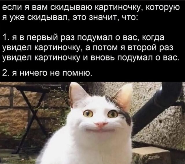 Скрины из соцсетей 