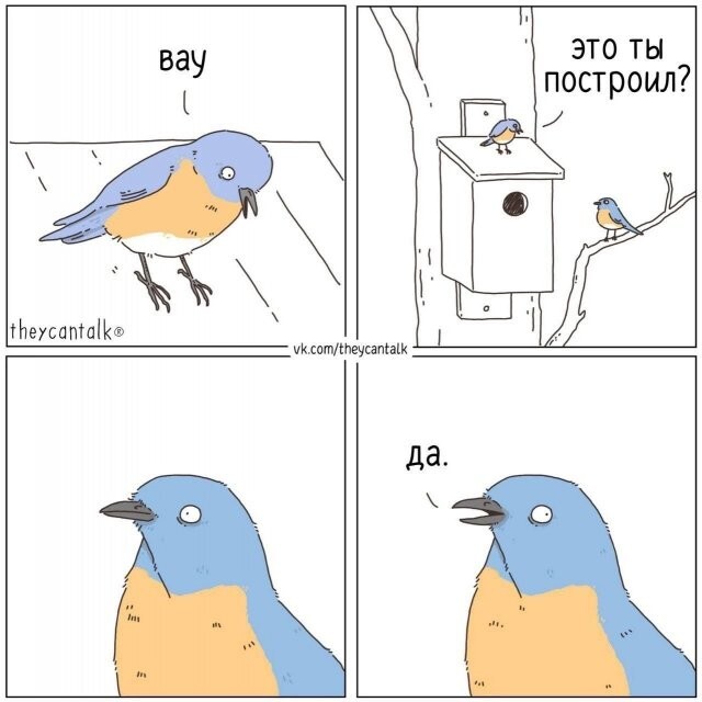 Скрины из соцсетей 