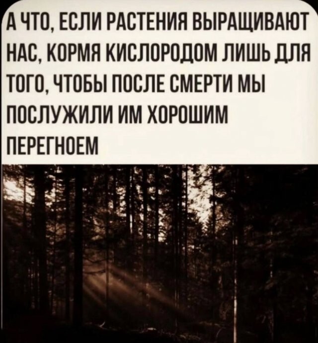 Скрины из соцсетей 