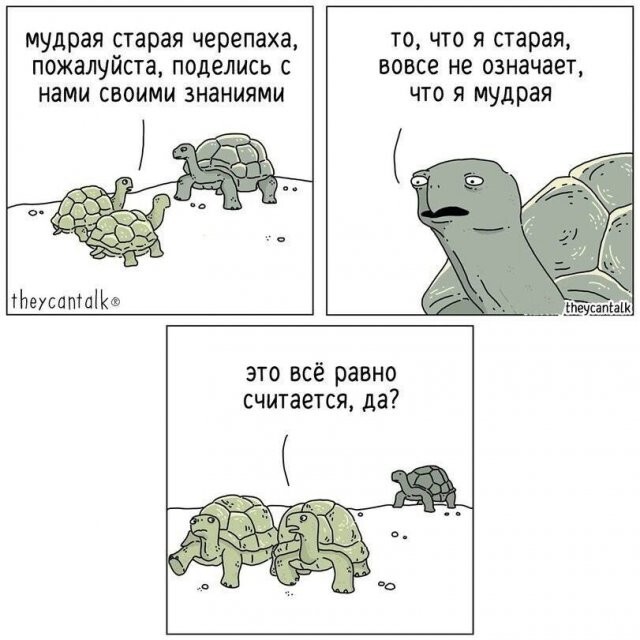 Скрины из соцсетей 