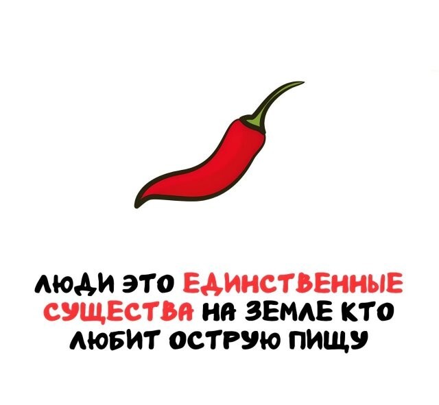 А вдруг ты не знал…