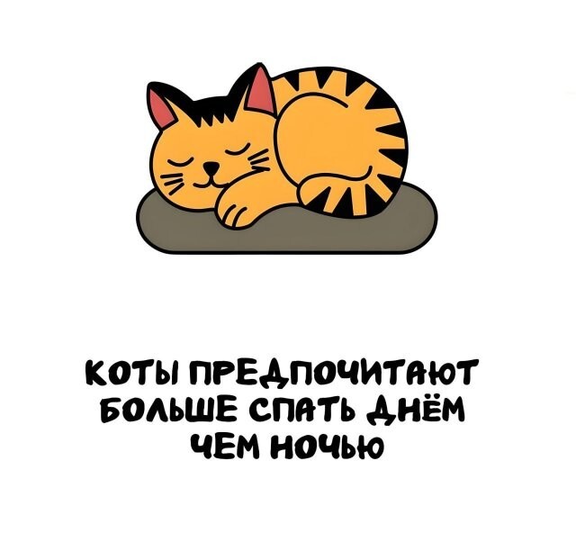 А вдруг ты не знал…