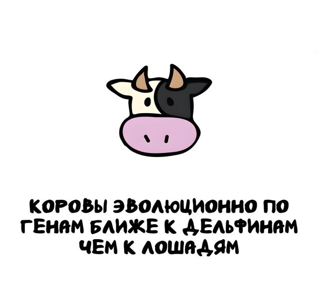 А вдруг ты не знал…
