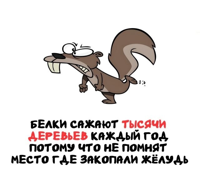 А вдруг ты не знал…