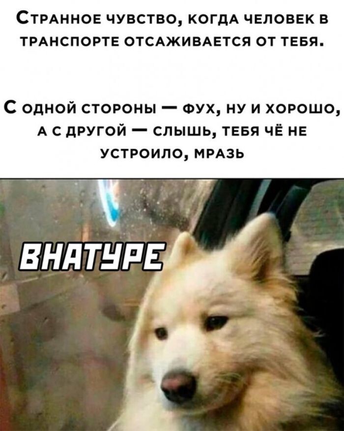 Не ищите здесь смысл. Здесь в основном маразм