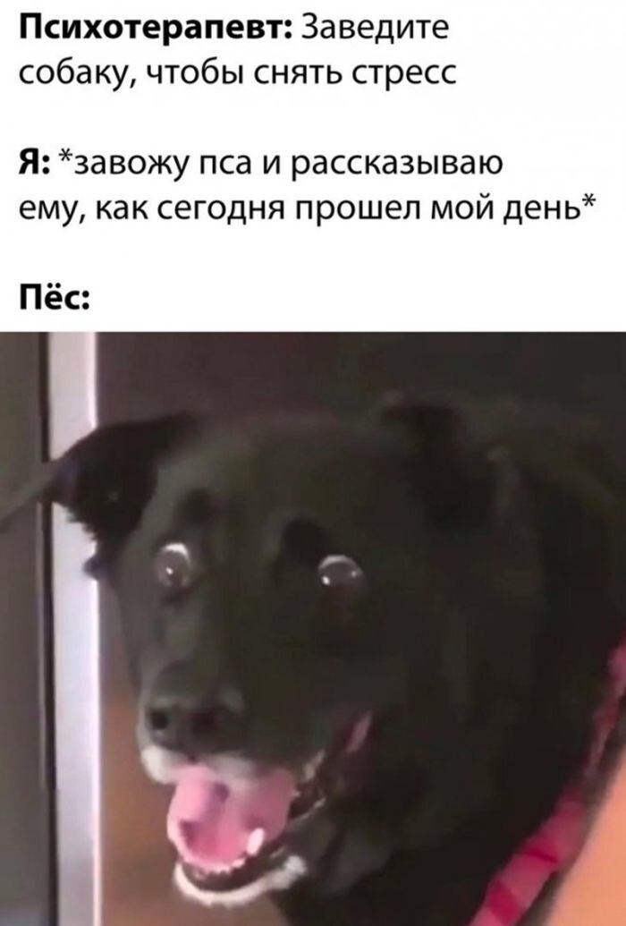 Не ищите здесь смысл. Здесь в основном маразм