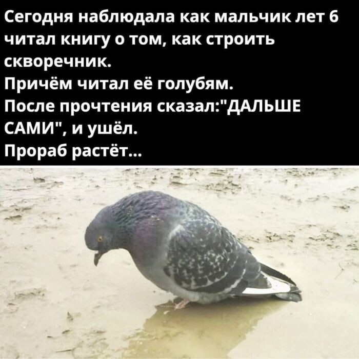 Не ищите здесь смысл. Здесь в основном маразм
