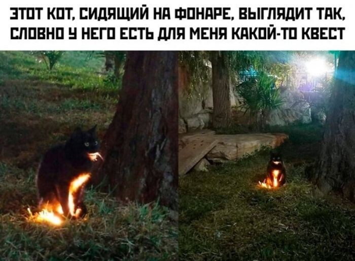 Не ищите здесь смысл. Здесь в основном маразм