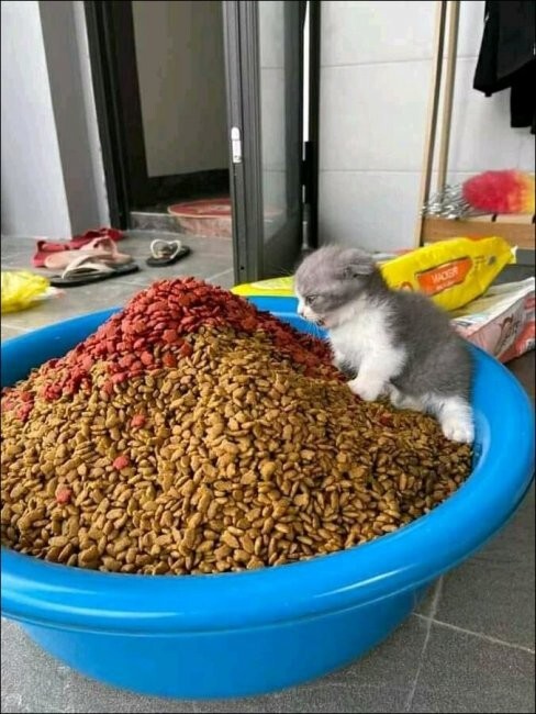 Всё вразнобой 