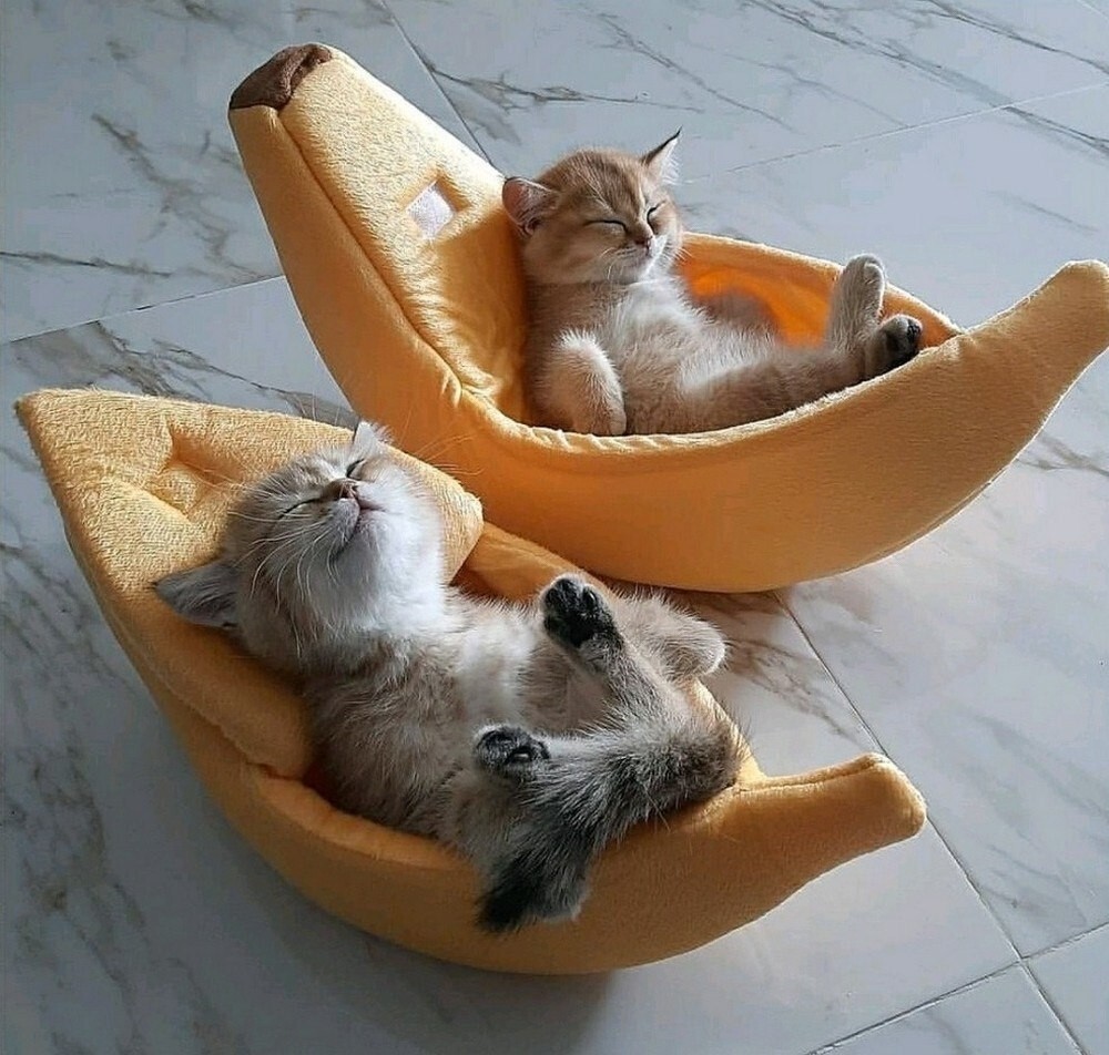 На общую тему 