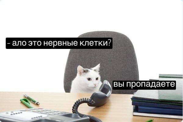 Скрины из соцсетей 