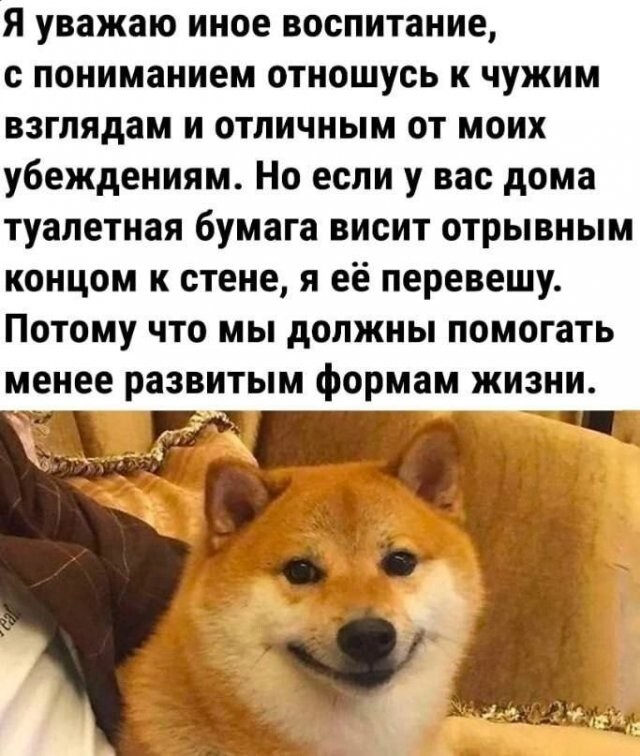 Скрины из соцсетей 