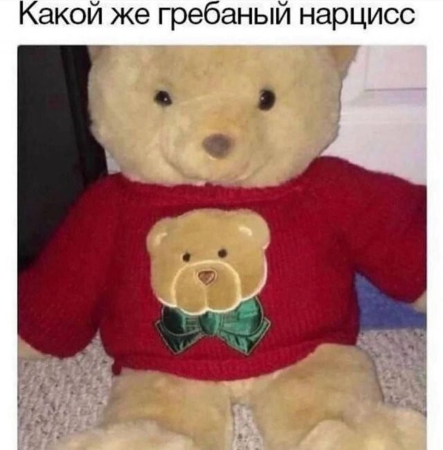 Скрины из соцсетей 