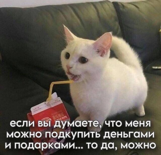 Скрины из соцсетей 