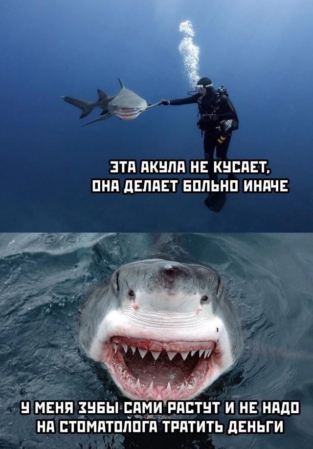 Скрины из соцсетей 