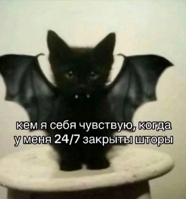 Скрины из соцсетей 