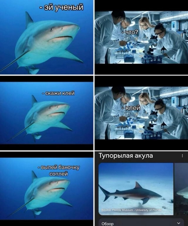 Скрины из соцсетей 