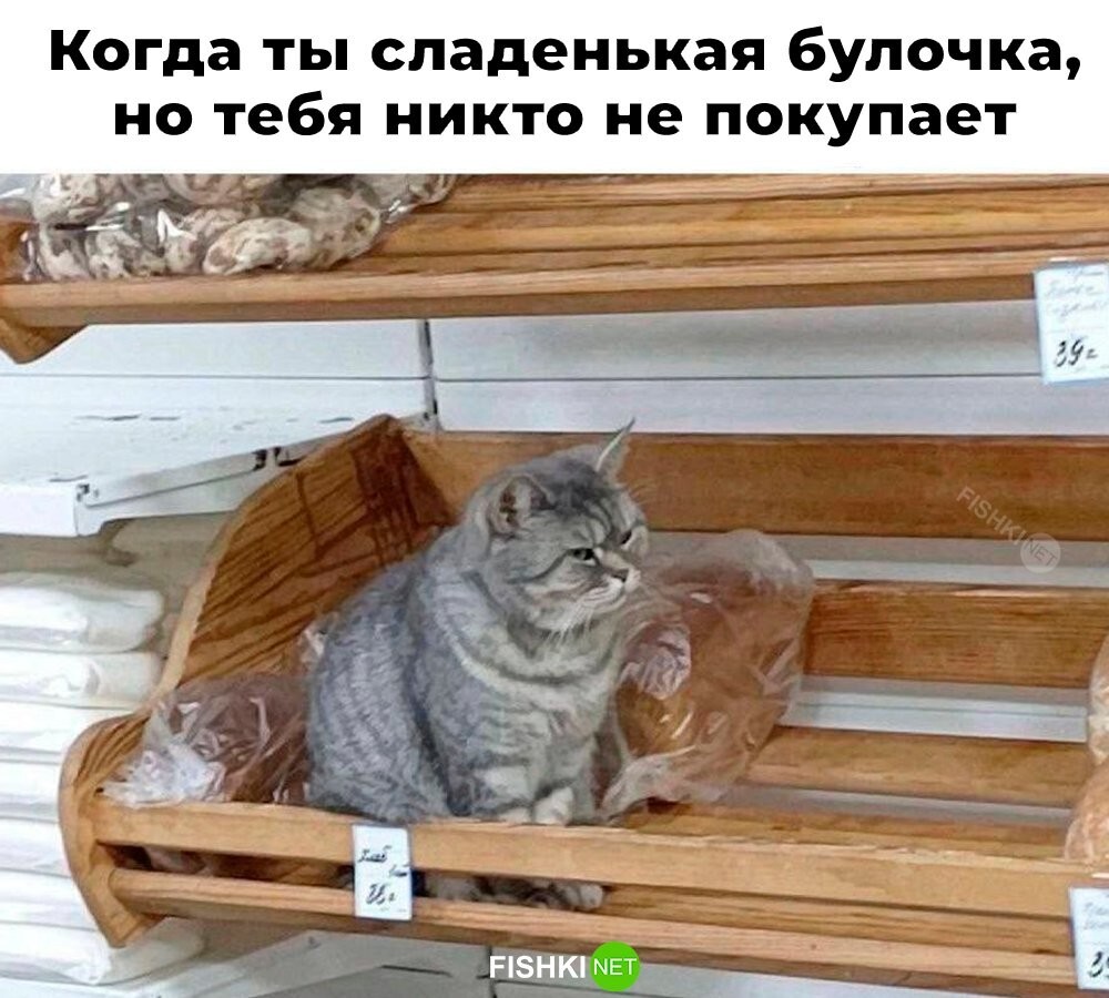 Скрины из соцсетей 