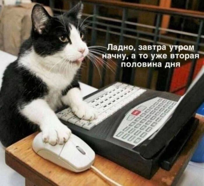 Не ищите здесь смысл. Здесь в основном маразм