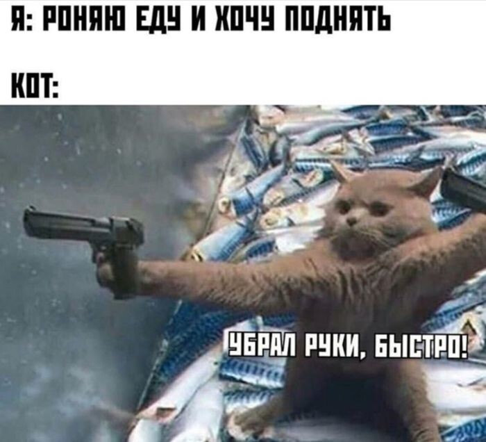 Не ищите здесь смысл. Здесь в основном маразм