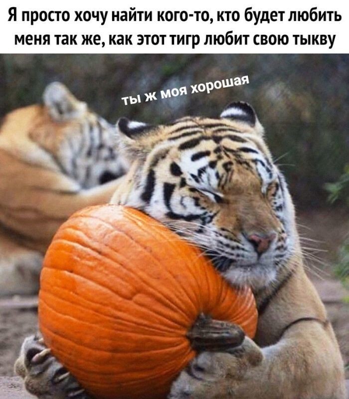 Не ищите здесь смысл. Здесь в основном маразм
