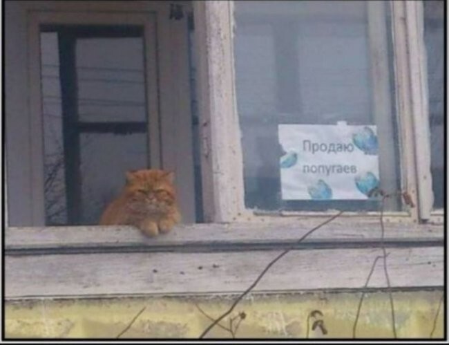 Не ищите здесь смысл. Здесь в основном маразм