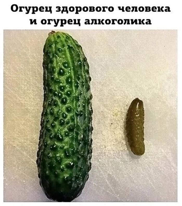 Не ищите здесь смысл. Здесь в основном маразм