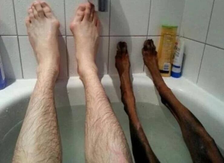 Всё вразнобой 