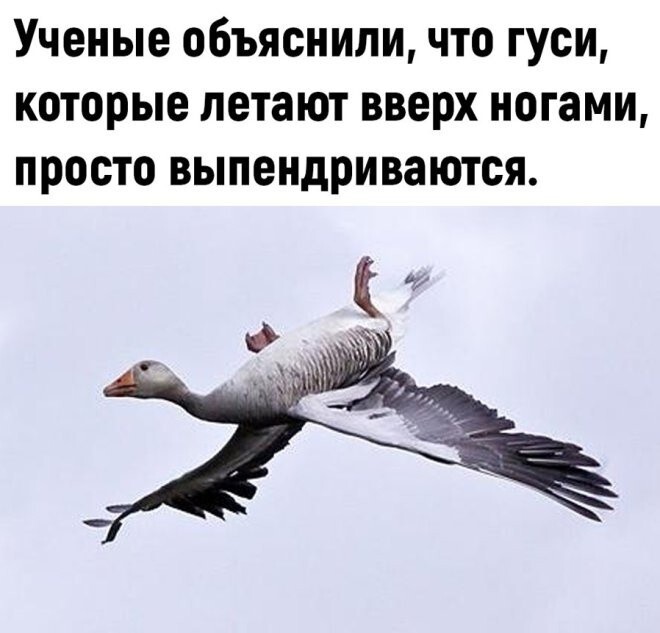 Продолжаем барражировать соцсети