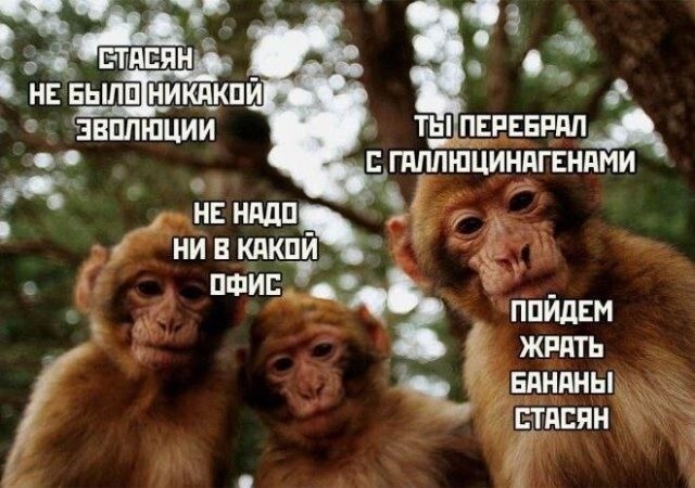 Продолжаем барражировать соцсети