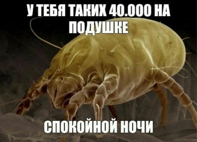 Продолжаем барражировать соцсети