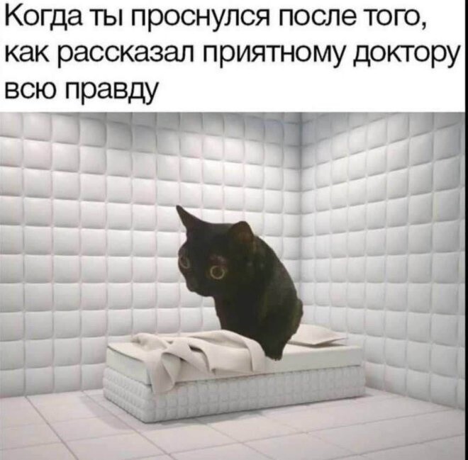 Продолжаем барражировать соцсети