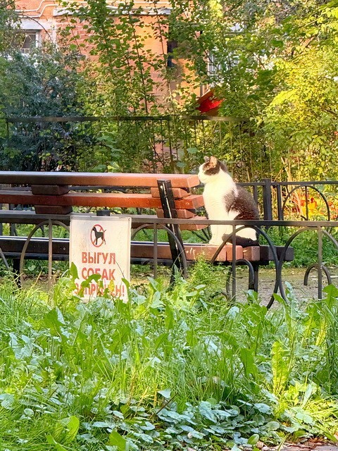 ФотоВсячина
