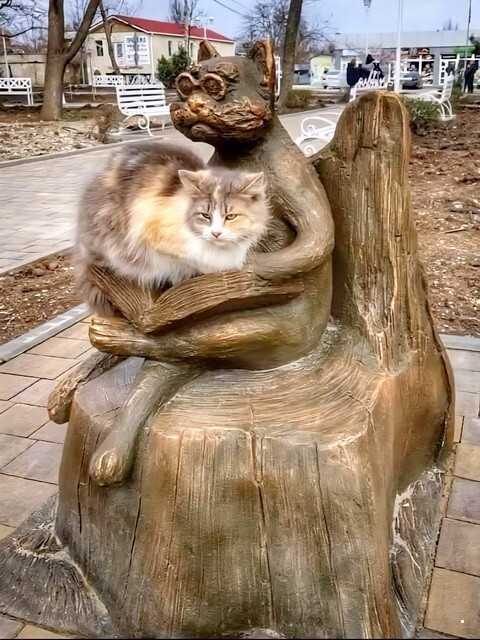 ФотоВсячина