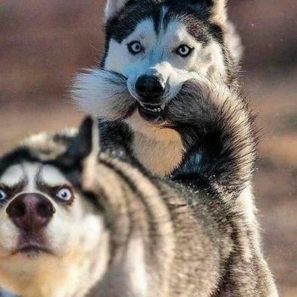 На общую тему 