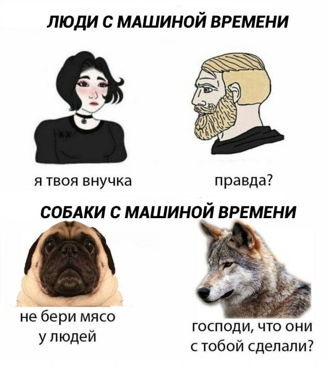 Скрины из соцсетей