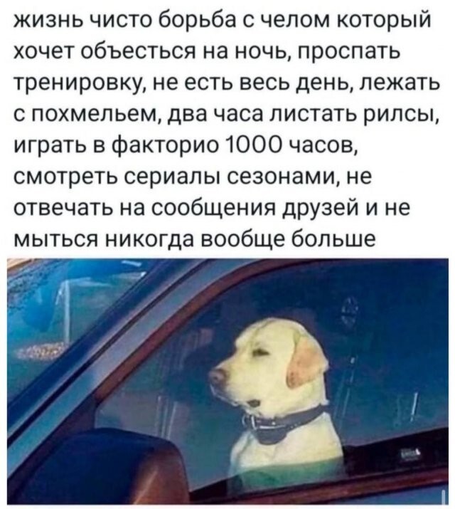 Скрины из соцсетей