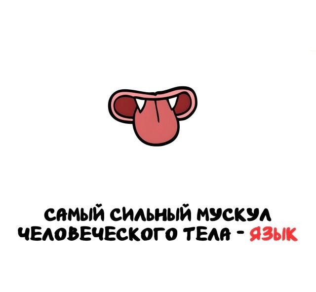 А вдруг ты не знал…