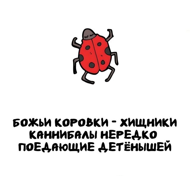 А вдруг ты не знал…
